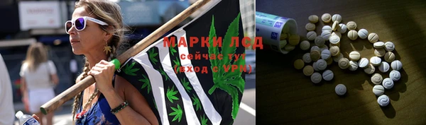 прущие грибы Абинск