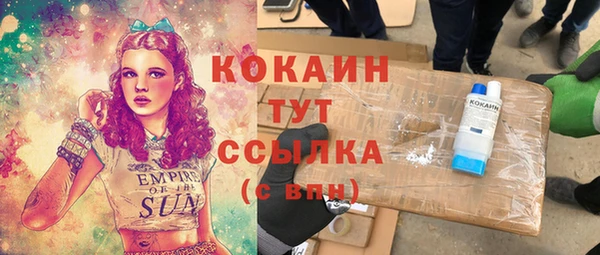прущие грибы Абинск