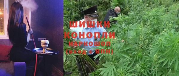 прущие грибы Абинск