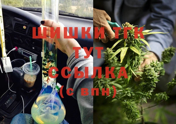 индика Абдулино