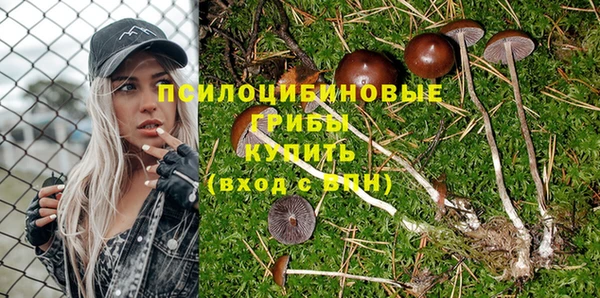 ECSTASY Новокубанск