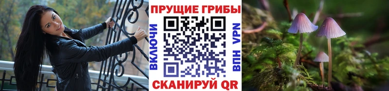 Галлюциногенные грибы мухоморы  где можно купить   Красноармейск 