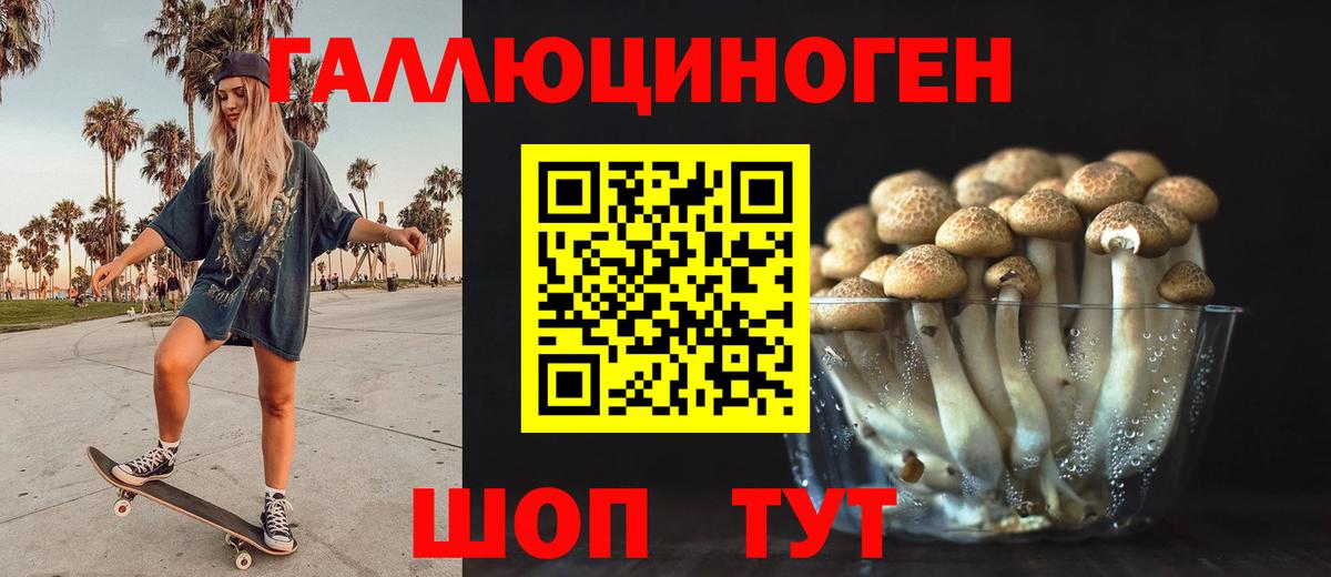 Псилоцибиновые грибы Cubensis Красноармейск