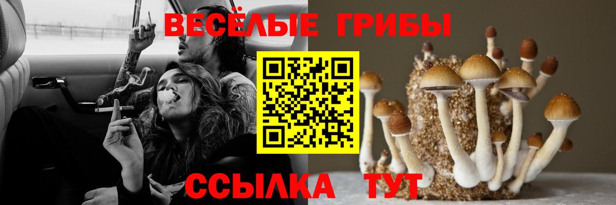 Красноармейск  Псилоцибиновые грибы MAGIC MUSHROOMS  Вход с VPN  Псилоцибиновые грибы ЛСД 